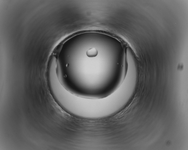 X0000099531460200806061420