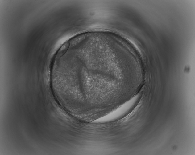 X0000099531461200806061420