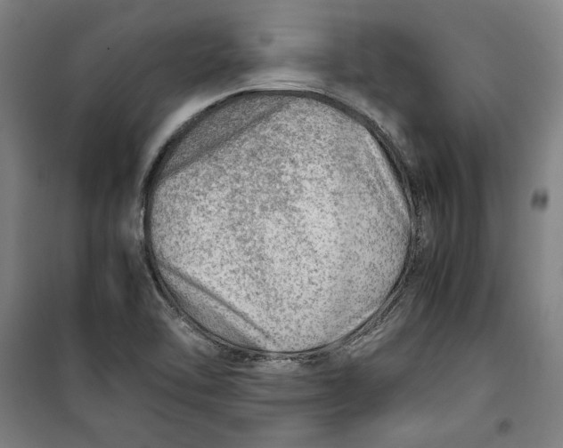 X0000099531462200806061420