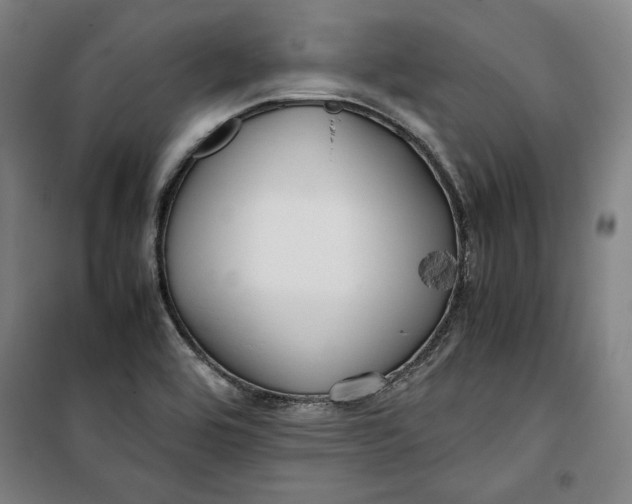 X0000099531464200806061420