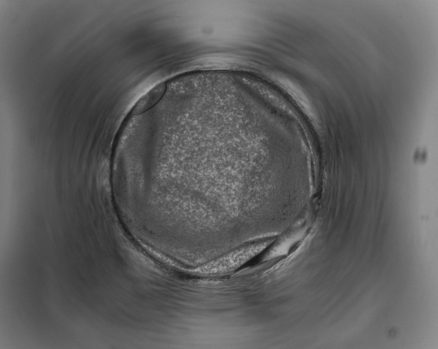 X0000099531465200806061420