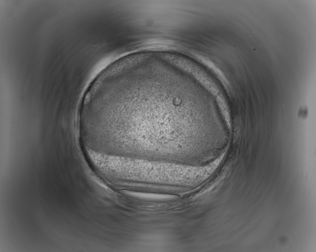 X0000099531467200806061420