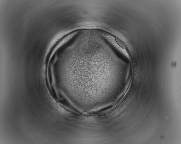 X0000099531472200806061420