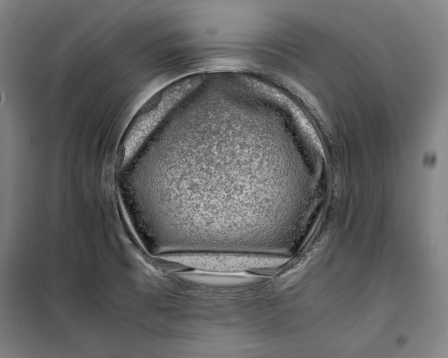 X0000099531473200806061420