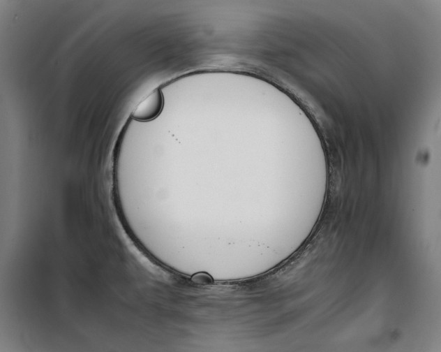 X0000099531479200806061420