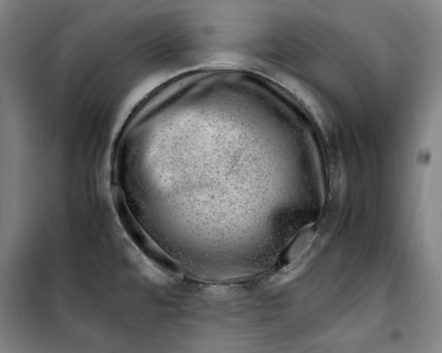 X0000099531480200806061420