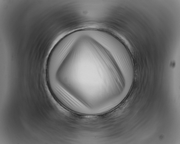 X0000099531483200806061420