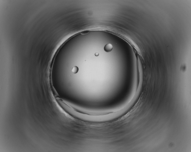 X0000099531484200806061420