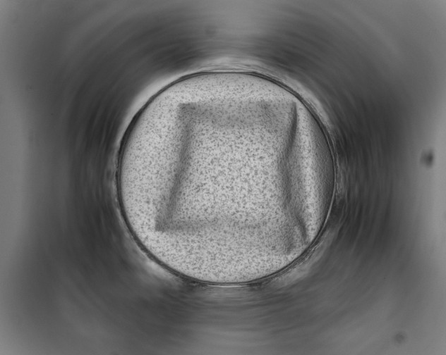 X0000099531486200806061420