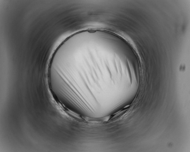 X0000099531488200806061420