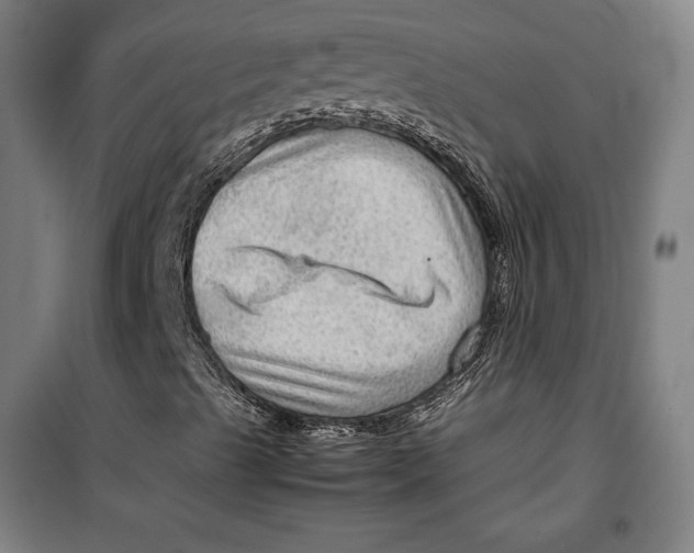 X0000099531489200806061419