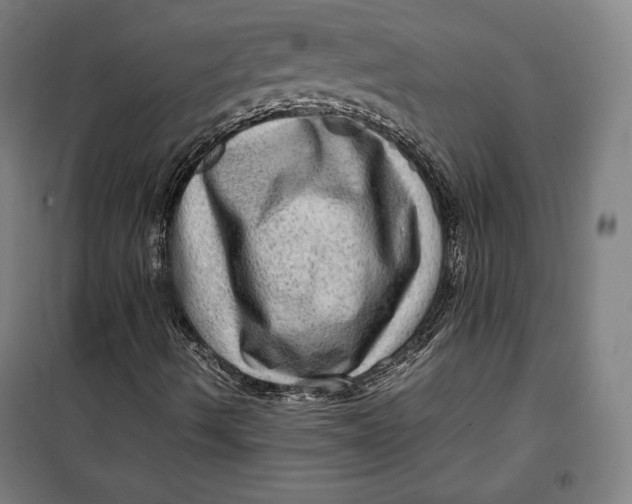 X0000099531490200806061419