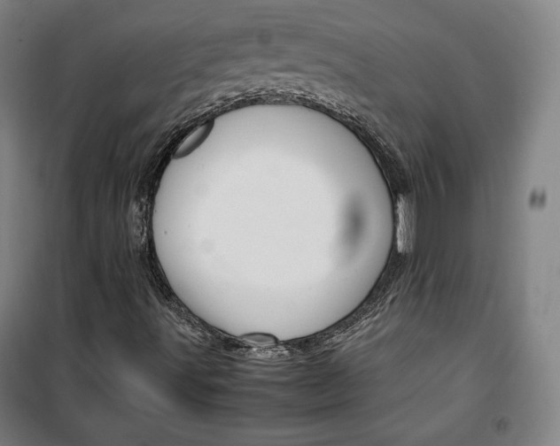 X0000099531491200806061419