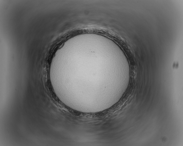 X0000099531493200806061419