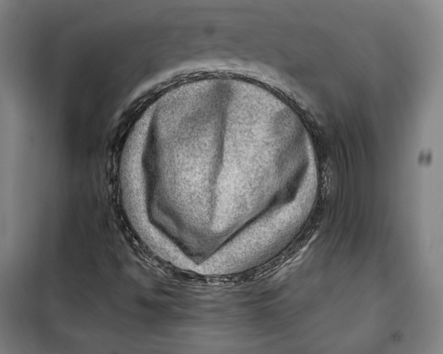 X0000099531494200806061419