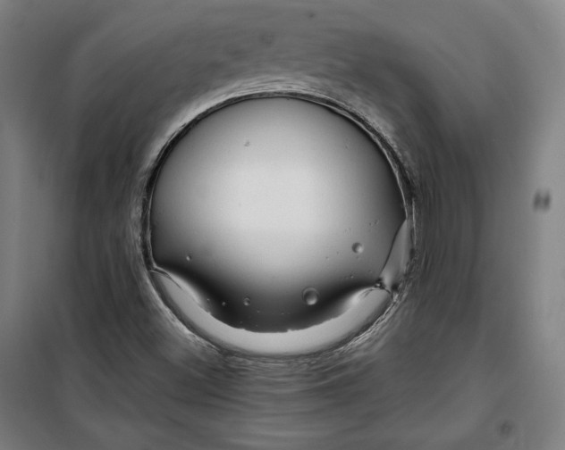 X0000099531500200806061419