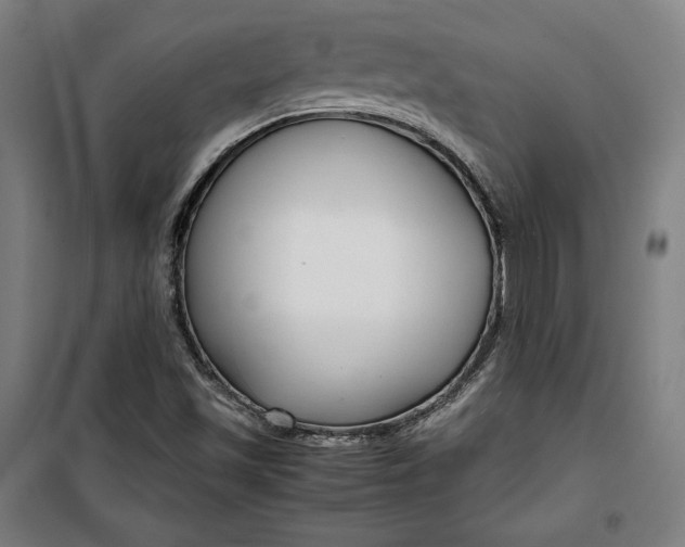 X0000099531501200806061419