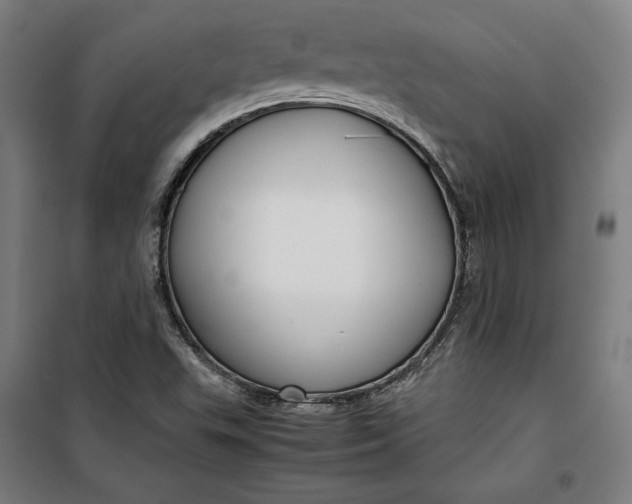 X0000099531503200806061419