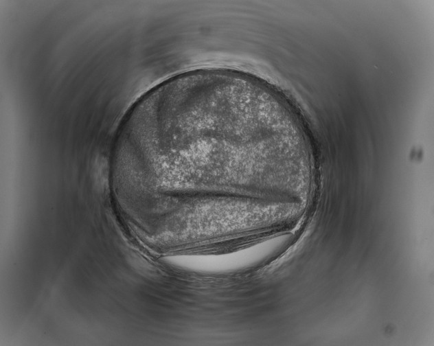 X0000099531505200806061419