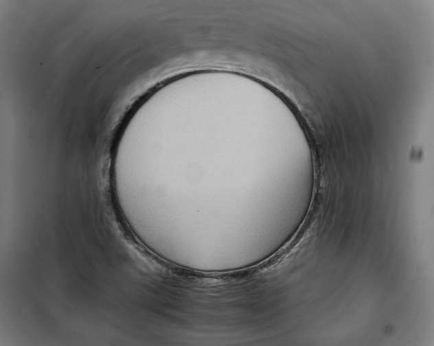 X0000099531507200806061419