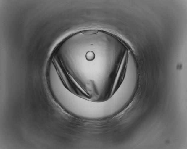 X0000099531510200806061419