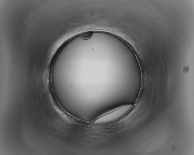 X0000099531511200806061419