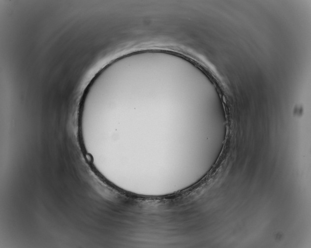 X0000099531512200806061419