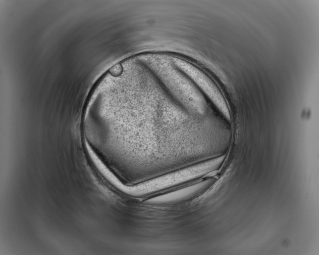 X0000099531513200806061419