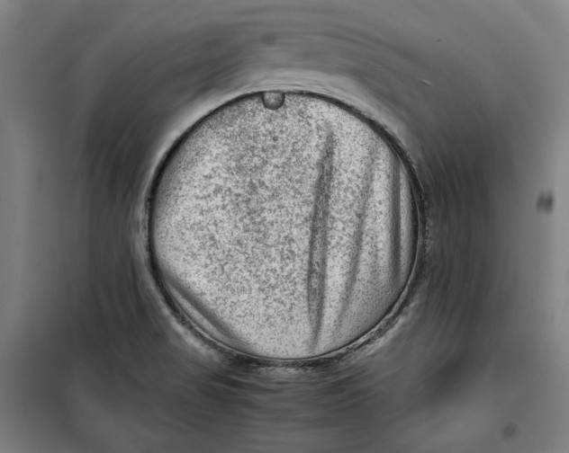 X0000099531517200806061419