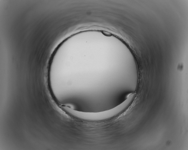 X0000099531518200806061419