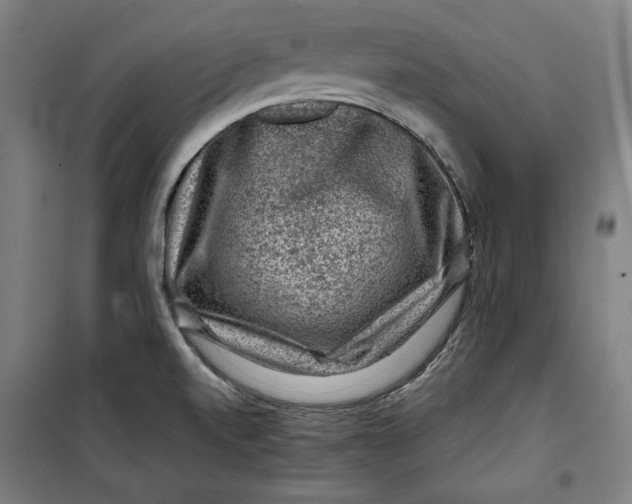 X0000099531520200806061420