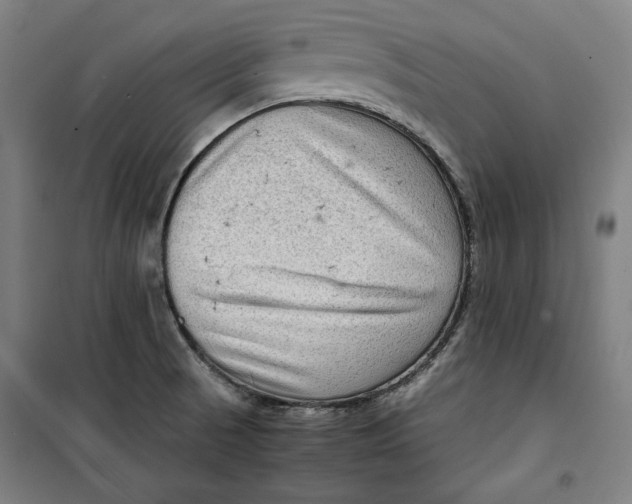 X0000099531521200806061420