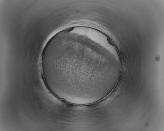 X0000099531522200806061420