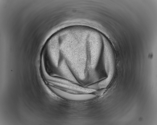 X0000099531523200806061420