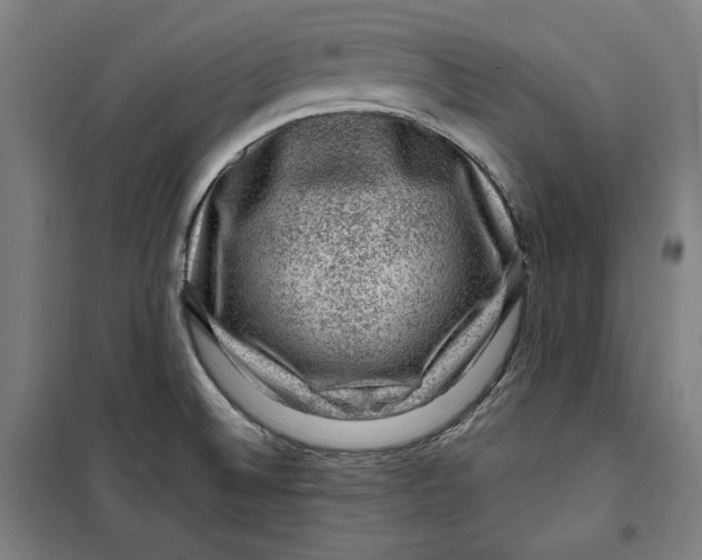 X0000099531524200806061420