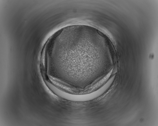 X0000099531528200806061420