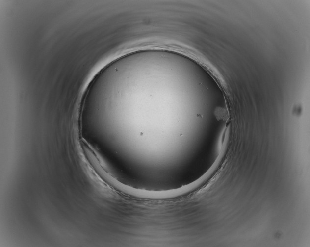 X0000099531530200806061420