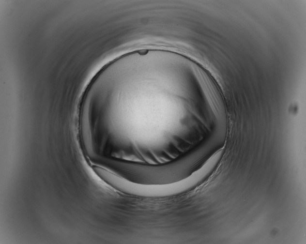 X0000099531531200806061420