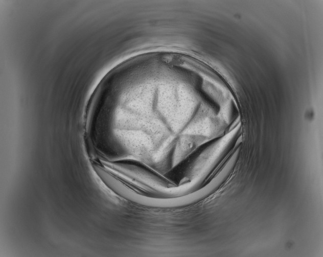 X0000099531532200806061420