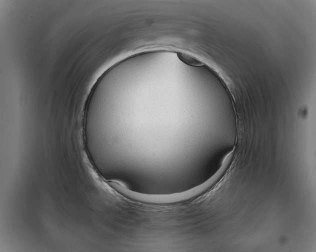 X0000099531534200806061420