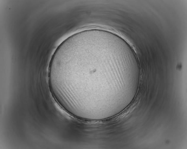 X0000099531535200806061420