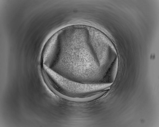 X0000099531536200806061420