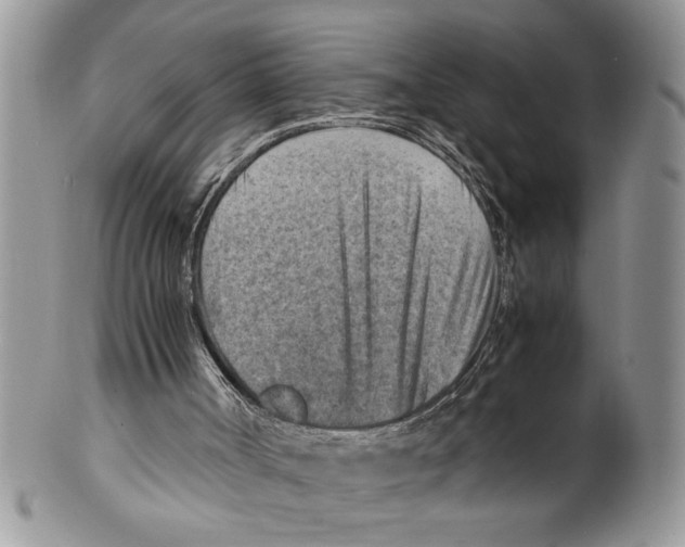 X0000099530002200806131137