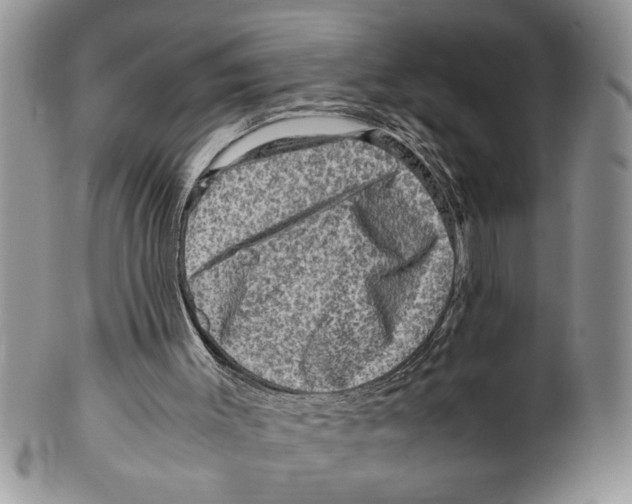 X0000099530003200806131137