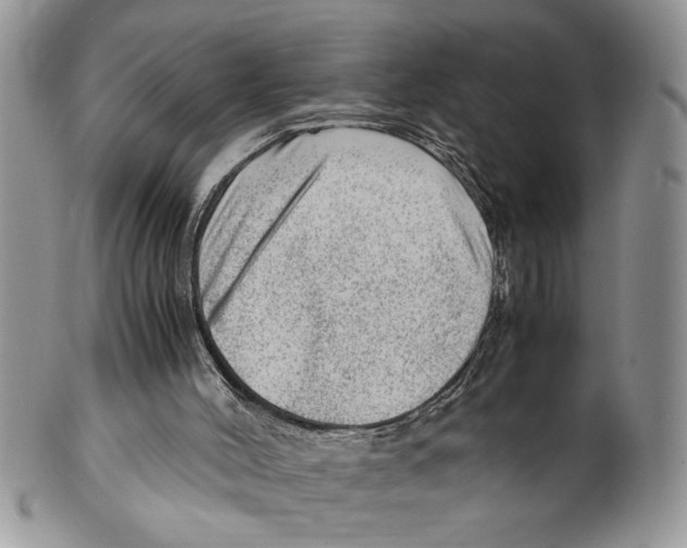 X0000099530004200806131137