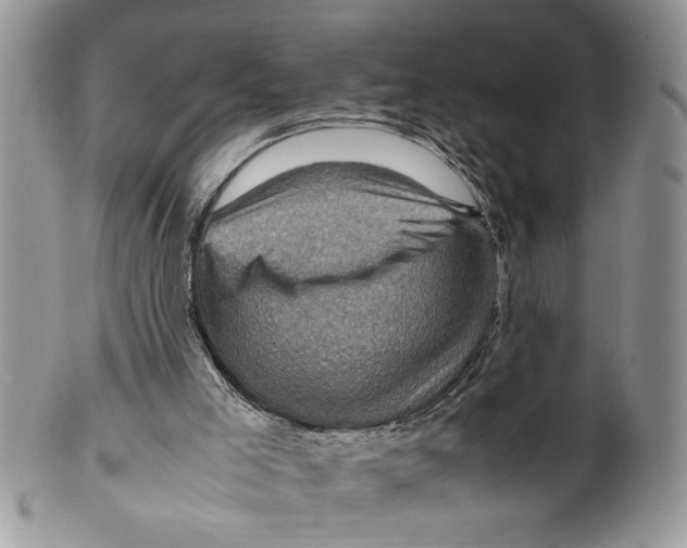 X0000099530005200806131137