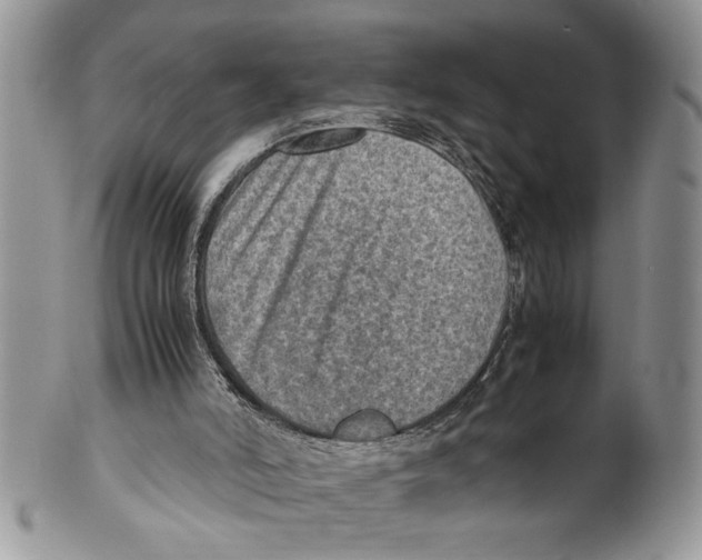 X0000099530006200806131137