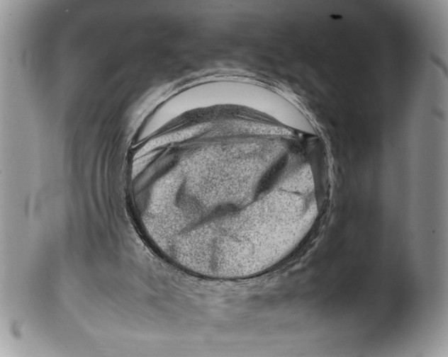 X0000099530007200806131137