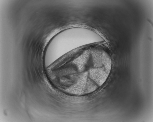 X0000099530008200806131137