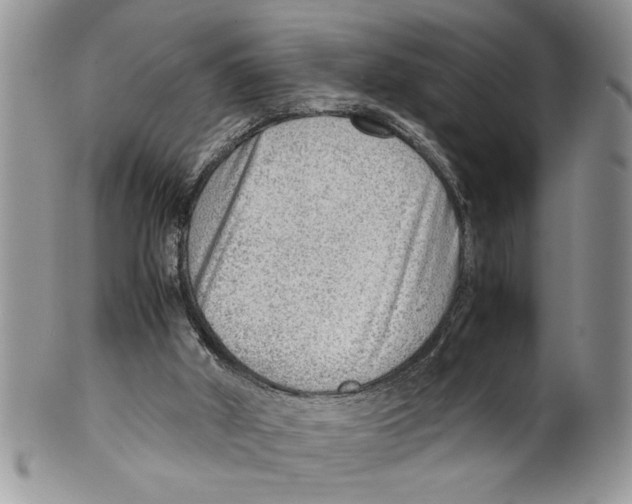 X0000099530010200806131137